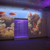 Проекционный дизайн "Виртуальная реальность" базовый комплект 500 анимаций - «globural.ru» - Калуга