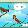 Интерактивное развивающее пособие "Говорящие картинки. Слушаем и повторяем" - «globural.ru» - Калуга