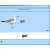Английский язык. Освоение клавиатуры - «globural.ru» - Калуга
