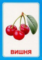 Логопедические карточки и картинки для развития речи - «globural.ru» - Калуга