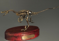 Модель скелета динозавра Velociraptor - «globural.ru» - Калуга