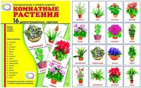 Демонстрационные карточки "Комнатные растения" - «globural.ru» - Калуга