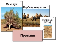 Модель-аппликация "Природные зоны России" - «globural.ru» - Калуга