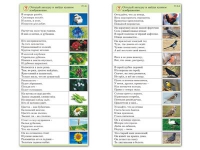 Комплект карточек (10) "Обучающий калейдоскоп. Природа" - «globural.ru» - Калуга