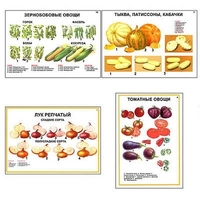 Плакаты ПРОФТЕХ "Ассортимент овощных культур" (12 пл, винил, 70х100) - «globural.ru» - Калуга