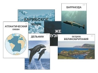 Модель-аппликация "Океаны. Знакомство" (ламинированная) - «globural.ru» - Калуга