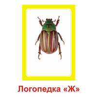 Логопедка "Ж" (логопедические карточки) - «globural.ru» - Калуга