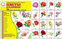 Демонстрационные карточки "Цветы садовые" - «globural.ru» - Калуга
