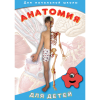 DVD  Анатомия для детей - «globural.ru» - Калуга