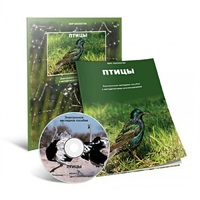 Электронное наглядное пособие «Птицы» - «globural.ru» - Калуга
