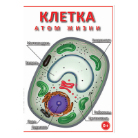 DVD Клетка - "атом жизни" - «globural.ru» - Калуга
