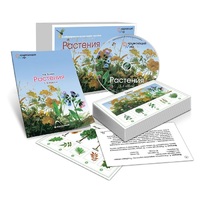 Комбинированное наглядное пособие «Растения» - «globural.ru» - Калуга