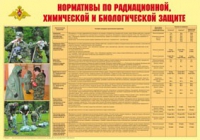 Плакат "Нормативы по радиационной, химической и биологической защите" - «globural.ru» - Калуга