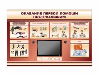 Многофункциональный интерактивный стенд-тренажер "Оказание первой помощи пострадавшим" для учащихся общеобразовательных учреждений - «globural.ru» - Калуга