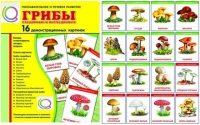 Демонстрационные карточки  "Грибы съедобные и не съедобные" - «globural.ru» - Калуга