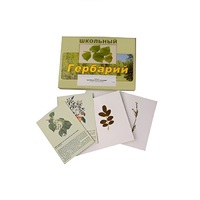Гербарий "Деревья и кустарники" (22 вида, с иллюстрациями) - «globural.ru» - Калуга