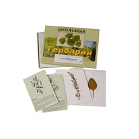 Гербарий "Лекарственные растения" (22 вида, с иллюстрациями) - «globural.ru» - Калуга