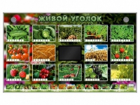 Комплект оборудования "Живой уголок" (растения) - «globural.ru» - Калуга