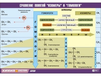 Таблица демонстрационная "Сравнение понятий изомер и гомолог" (винил 100х140) - «globural.ru» - Калуга