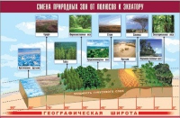 Таблица демонстрационная "Смена природных зон от полюсов к экватору" (винил 70x100) - «globural.ru» - Калуга
