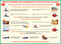 Таблица Порядок действий при коматозном состоянии пострадавшего 1000*1400 винил - «globural.ru» - Калуга