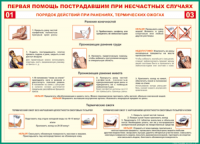 Таблица Порядок действий при ранениях и термических ожогах	 1000*1400 винил - «globural.ru» - Калуга
