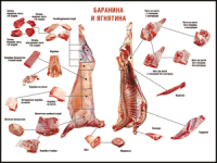 Правила разделки мясных туш "Баранина и ягнятина" 1000*1400 винил - «globural.ru» - Калуга
