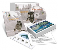 Комбинированное наглядное пособие «Животные» - «globural.ru» - Калуга
