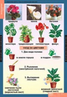 Окружающий мир 1 класс (комплект таблиц) - «globural.ru» - Калуга