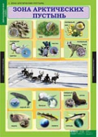 Окружающий мир 4 класс (комплект таблиц) - «globural.ru» - Калуга