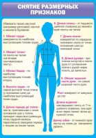 Стенд "Снятие мерок" (вариант 2) - «globural.ru» - Калуга