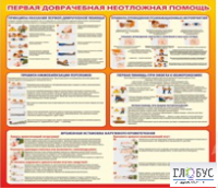 Стенд "Первая доврачебная неотложная помощь" - «globural.ru» - Калуга
