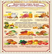 Стенд "Витамины, жиры, белки" - «globural.ru» - Калуга