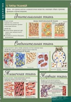 Биология 8-9 класс. Человек. (комплект таблиц) - «globural.ru» - Калуга