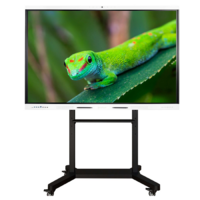 Интерактивный комплекс Geckotouch ​​​​​​​65RK - «globural.ru» - Калуга