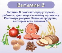 Стенд "Витамин В" - «globural.ru» - Калуга