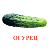 Карточки Домана "Овощи-Зелень-1" - «globural.ru» - Калуга