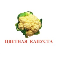 Карточки Домана "Овощи-Зелень-2" - «globural.ru» - Калуга