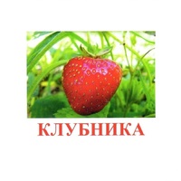 Карточки Домана "Ягоды-1" - «globural.ru» - Калуга