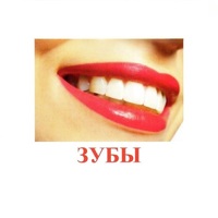 Карточки Домана "Части тела" - «globural.ru» - Калуга