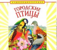 CD "Аудиоэнциклопедия. Городские птицы" - «globural.ru» - Калуга