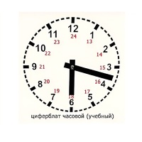 Часовой циферблат раздаточный - «globural.ru» - Калуга