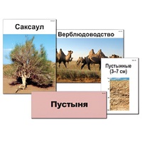 Модель-аппликация "Природные зоны России" - «globural.ru» - Калуга