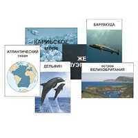Модель-аппликация "Океаны. Знакомство" (ламинированная) - «globural.ru» - Калуга