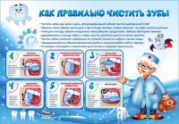 Стенд "Как правильно чистить зубы" - «globural.ru» - Калуга