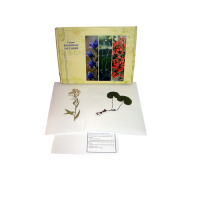 Гербарий Ядовитые растения (20 видов) - «globural.ru» - Калуга