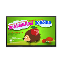 Интерактивная сенсорная панель 65" (UHD 4K) - «globural.ru» - Калуга