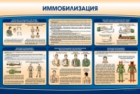 Стенд "Иммобилизация" - «globural.ru» - Калуга