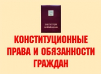 Комплект плакатов "Конституционные права и обязанности граждан" - «globural.ru» - Калуга