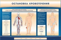 Электрифицированный стенд-тренажер "Остановка кровотечения" - «globural.ru» - Калуга